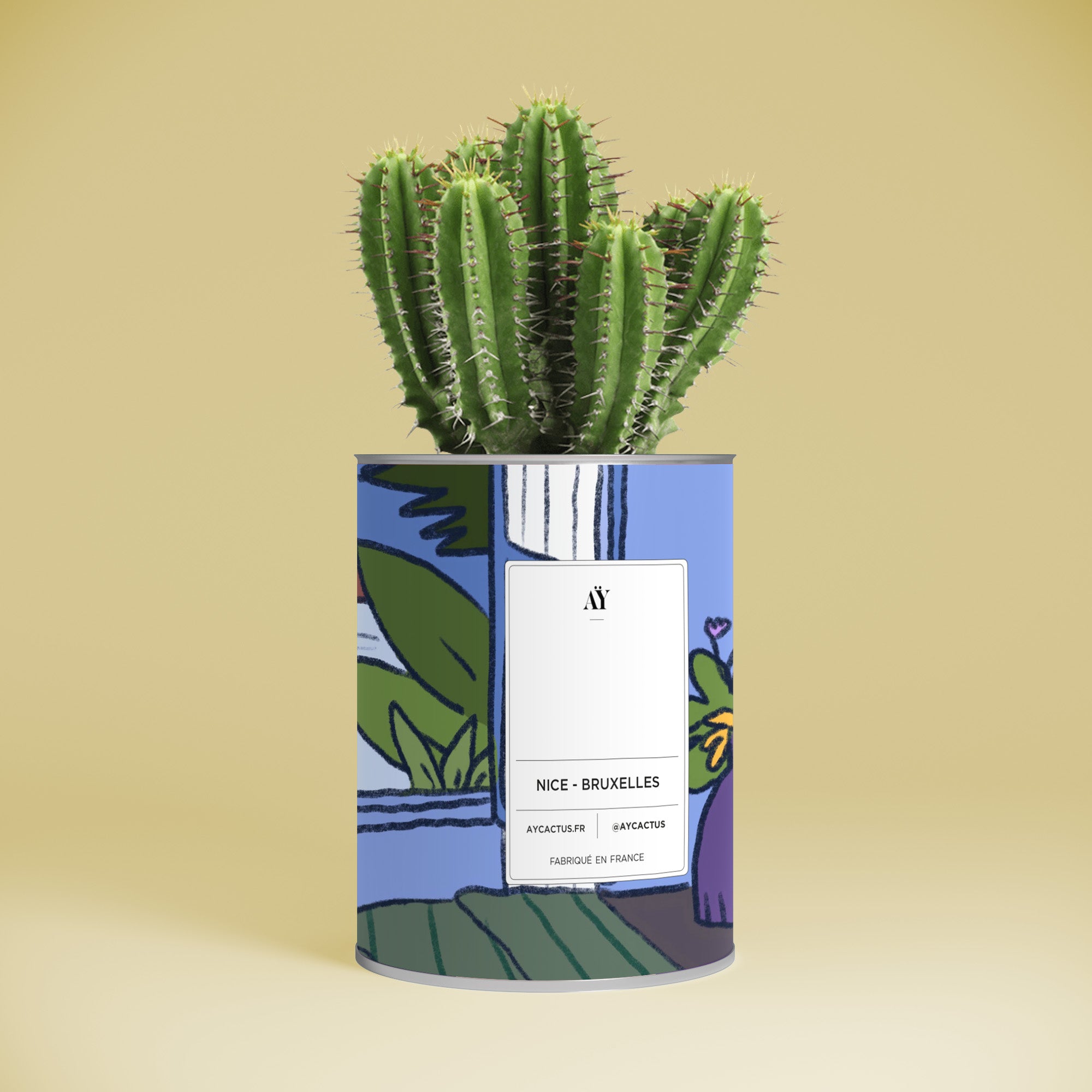 personnalisation cactus