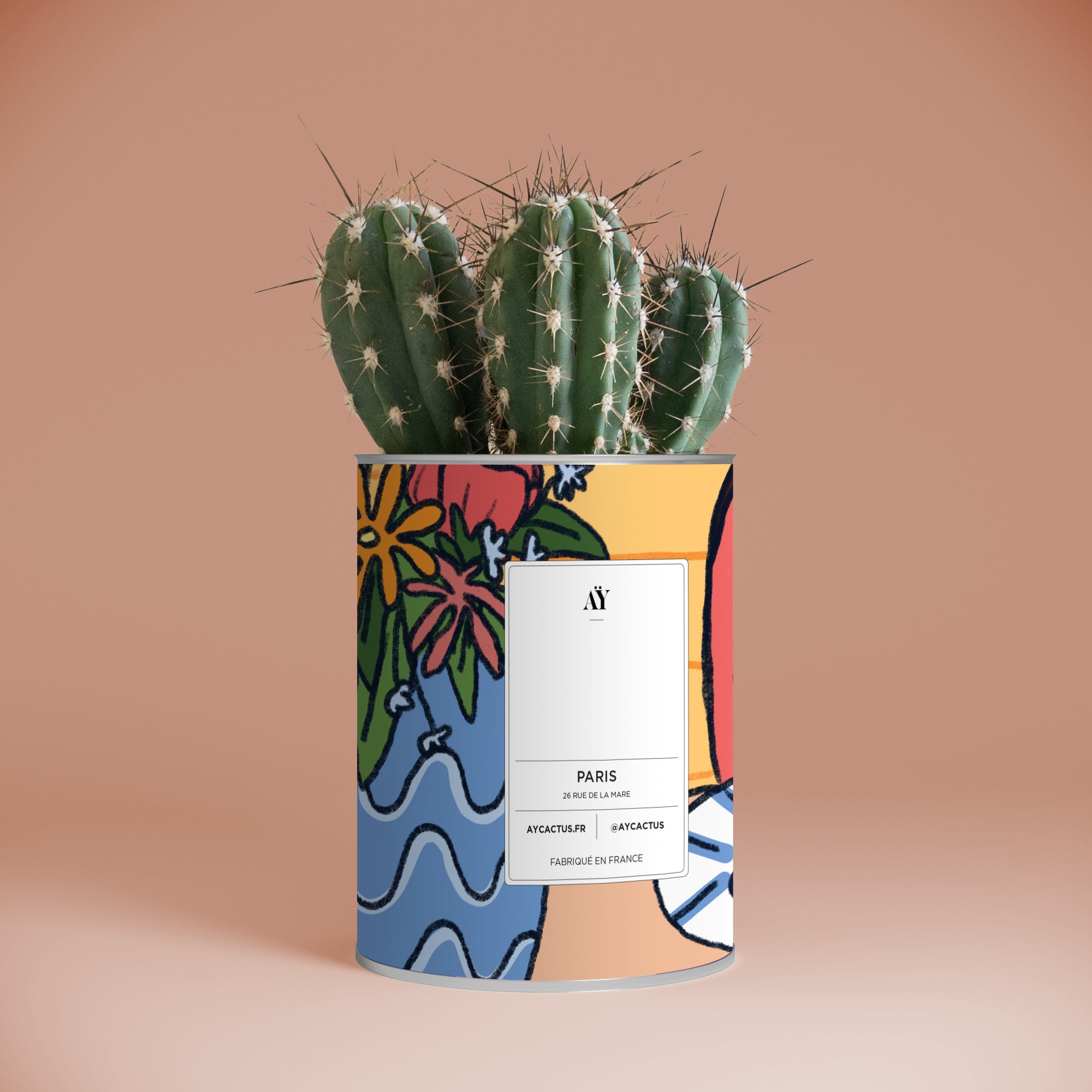 personnalisation cactus